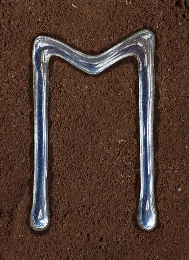 Ehwaz